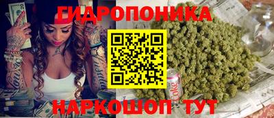 дмт Бердск