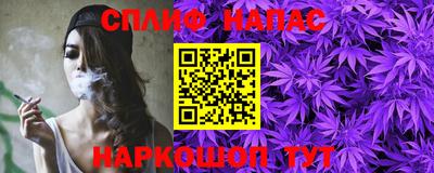 дживик Ачхой-Мартан